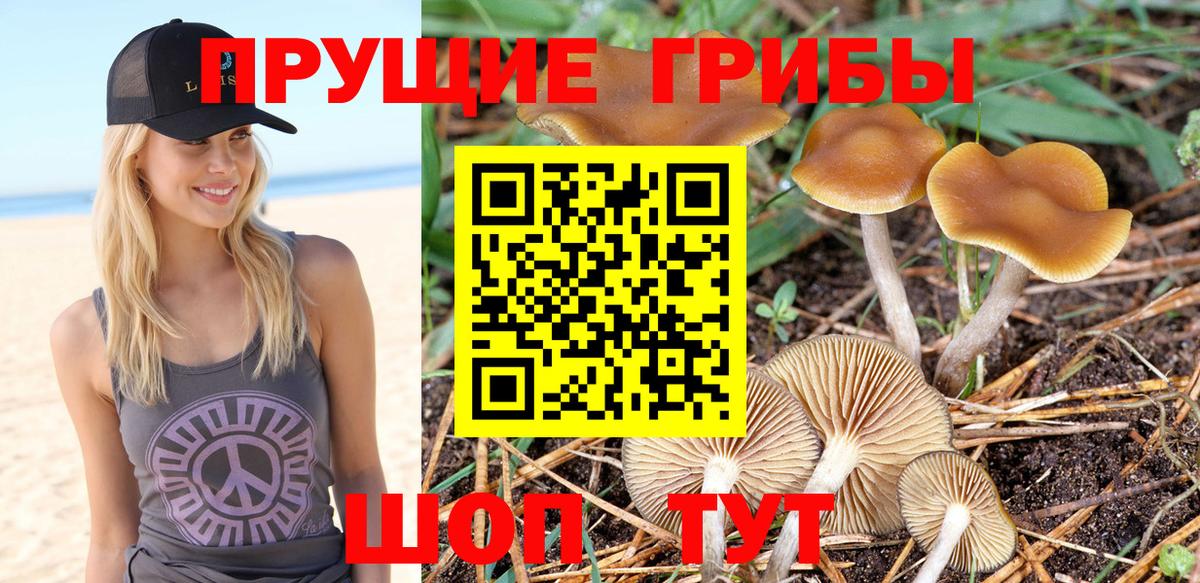 Соль-Илецк  Вход с VPN  Каннабис  Меф МЯУ МЯУ кристаллы  COCAIN  Магазины продажи наркотиков  ГАШ 